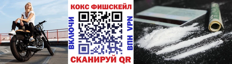 Кокаин FishScale  купить наркотик  Тара 