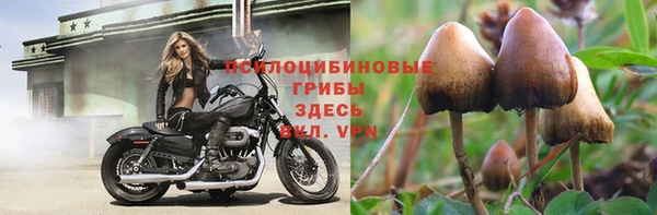 мескалин Балахна